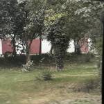 okbook Profile Picture