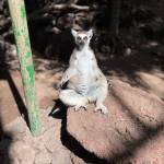 Airam Sanchez Profile Picture