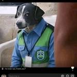 Tanbatter Profile Picture