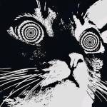 David Profile Picture