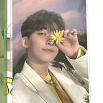 nica madera Profile Picture