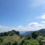 Vincent sang Profile Picture