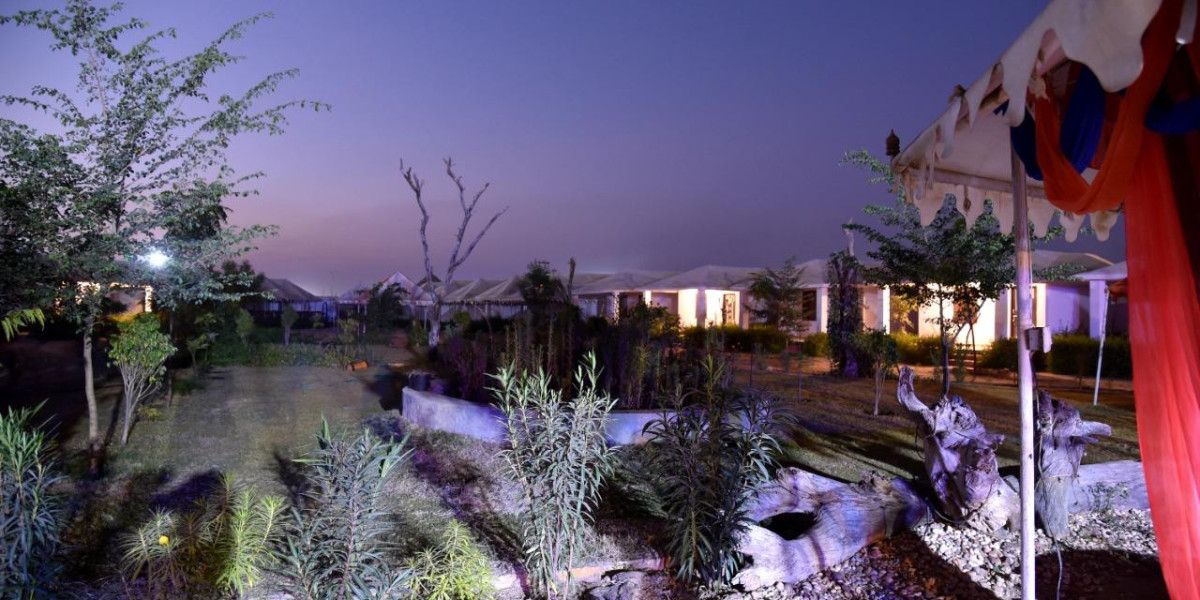 Why Sand Dune Bashing in Jaisalmer Is a Must-Try for Thrill Seekers