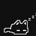 Kai Maeroni Profile Picture