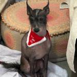 Antreas Mach Profile Picture