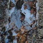 Pam Gld Profile Picture