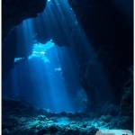 Phyneas Hinton Profile Picture