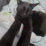 emmi_lini Profile Picture