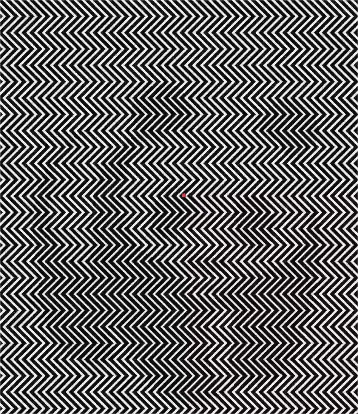 aaronyang233 Profile Picture