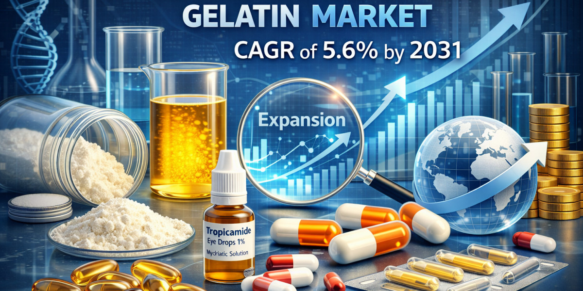 Pharmaceutical Grade Gelatin Market Forecast at 5.6% CAGR