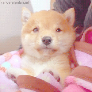 rie rie Profile Picture