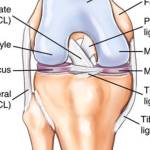 serba_bisa Profile Picture